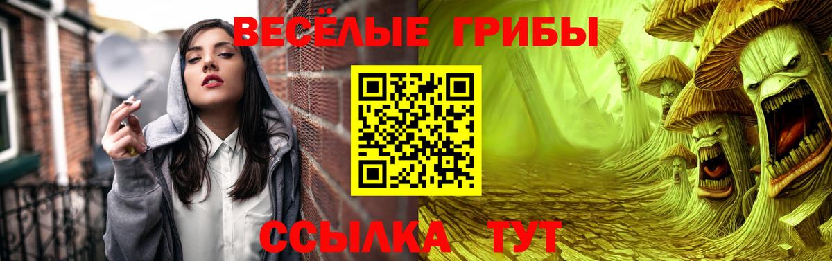 Рассказово  Галлюциногенные грибы Magic Shrooms  Псилоцибиновые грибы прущие грибы  где найти   Вход с VPN 